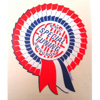 Image for 'Special Tuning' Rosette Decal 