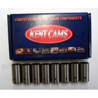 Image for Cam Followers - Kent