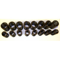 Image for Valve Springs - Piper (Double)