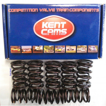 Image for Valve Springs - Kent (Double)