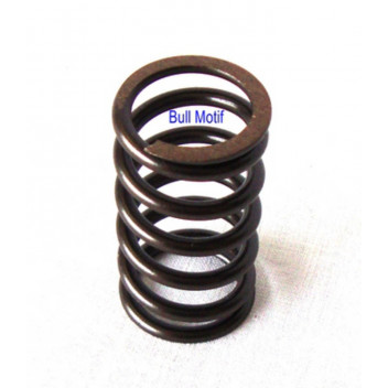 Image for Valve Spring - 998cc A+ and 1275cc