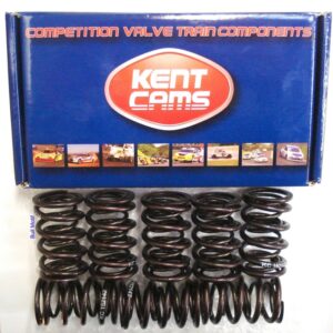 Valve Springs - Kent (Double)